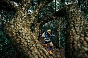 BIB: 
                            <button type="button" onclick="openModal(25393515)" class="btn btn-primary btn-sm float-right btn-popup" data-toggle="modal" data-target=".modal-high-quality">
                        <i class="fas fa-shopping-cart"></i> Add to Cart
                    </button>
                                            <button type="button" onclick="isThisMe(25393515, true)" class="btn btn-success btn-sm float-right btn-popup btn-isme hidden" data-toggle="tooltip" data-placement="bottom" title="นี่คือรูปของคุณใช่ไหม คลิกที่นี่เพื่อเอาเข้าอัลบั้ม">
                        <i class="fas fa-plus"></i> Add to album
                    </button>
                    <button type="button" onclick="isThisMe(25393515, false)" class="btn btn-warning btn-sm float-right btn-popup btn-isnotme hidden">
                        <i class="fas fa-ban"></i> Remove from album
                    </button>